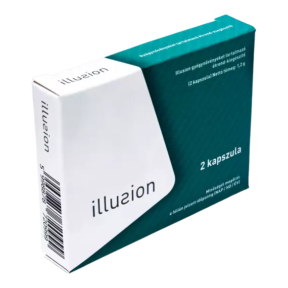 illusion2